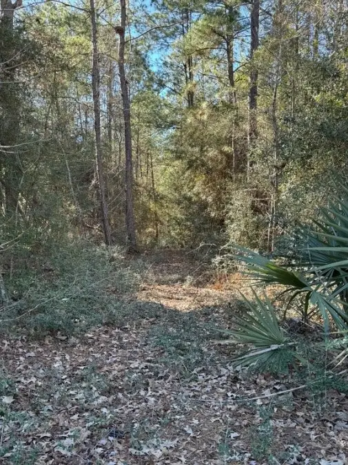 #3