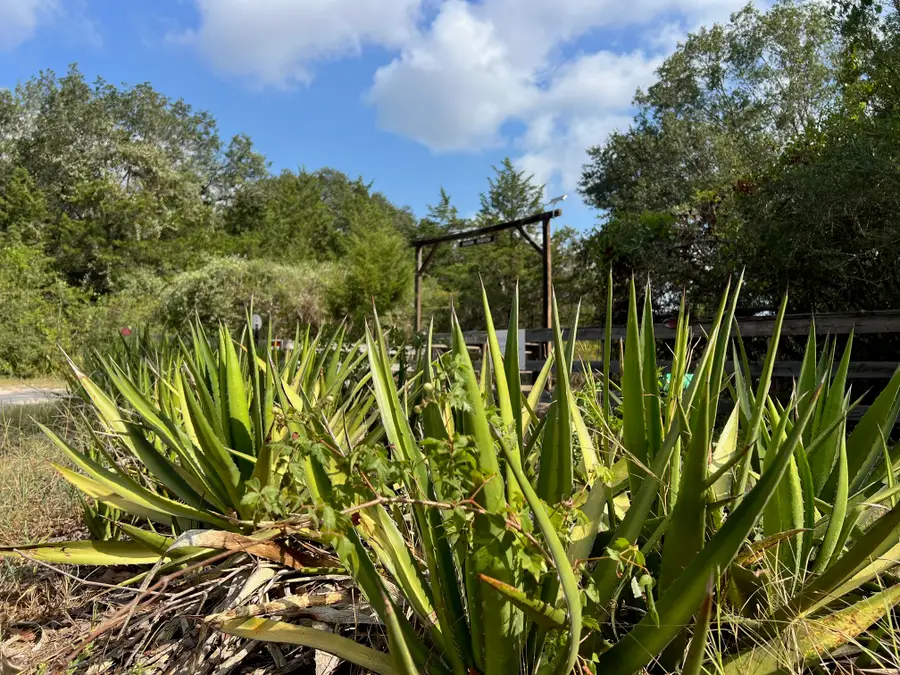 499 Hickory Creek Road, Bellville, TX 77418 - #2