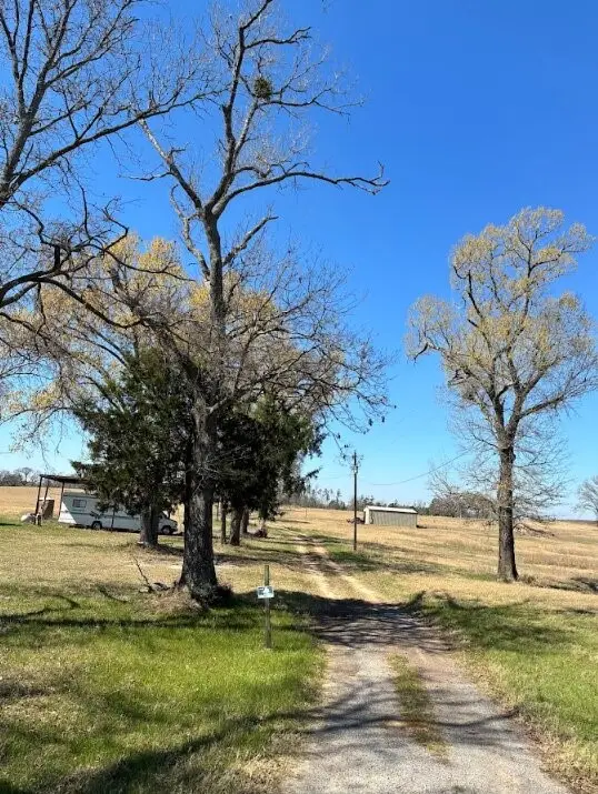 0 County Road 2235, Grapeland, TX 75844 - #2