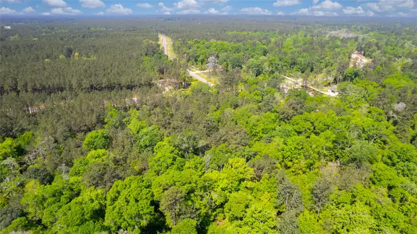 12868 Oak Barrel Road, Willis, TX 77378