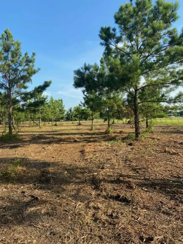 5510 County Road 602, Dayton, TX 77535