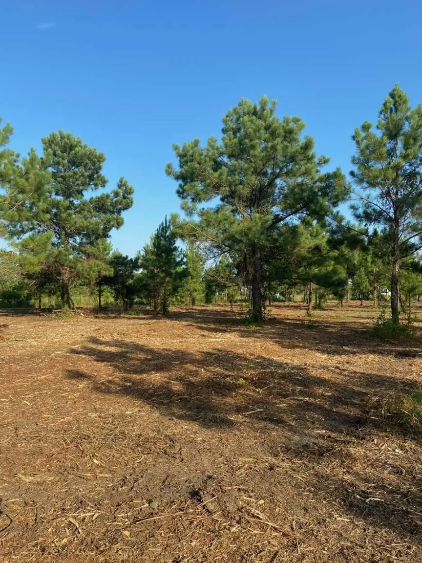 5510 County Road 602, Dayton, TX 77535 - #2
