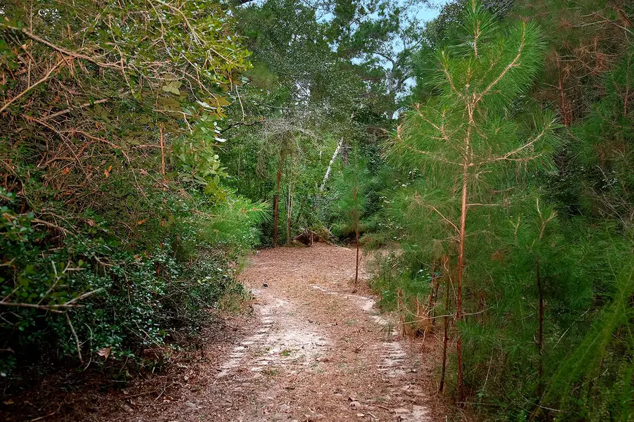 TBD Sky Oak Lane, Huntsville, TX 77340 - #3
