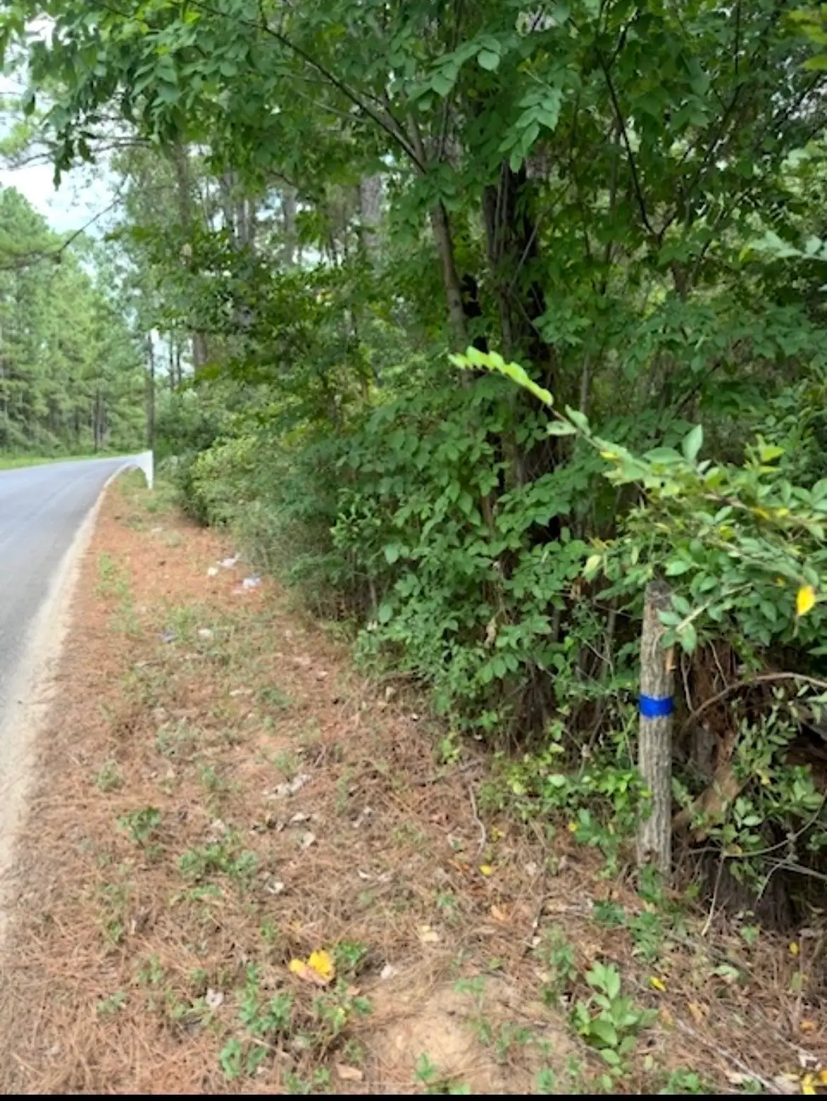 0 Pinebrook Lot 77, Plantersville, TX 77363 - #1