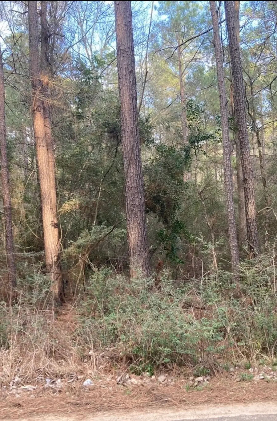 0 Pinebrook Lot 77, Plantersville, TX 77363 - #2