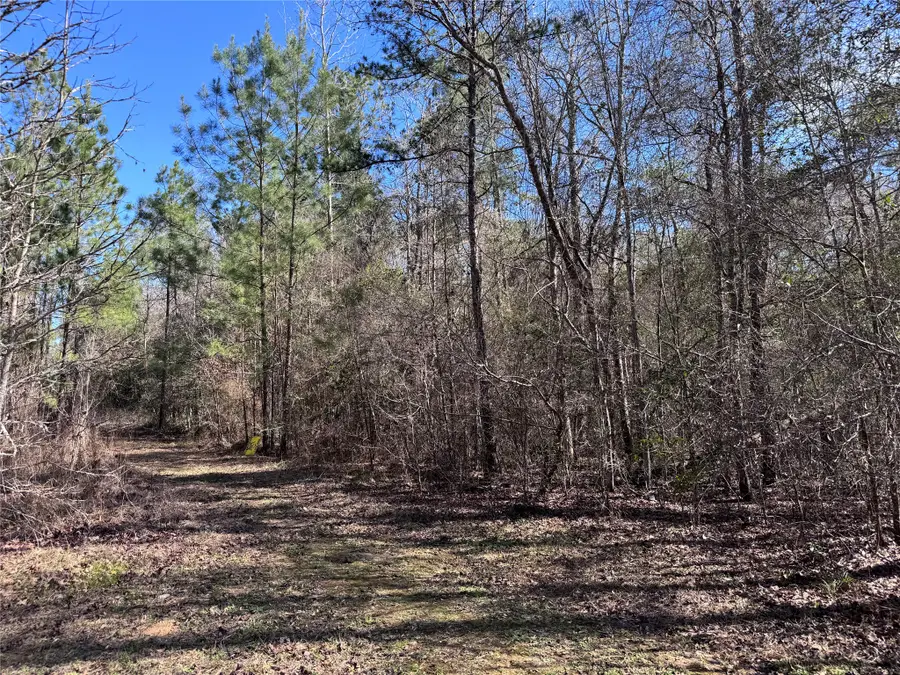 TBD Cr 2669,2670, Cleveland, TX 77327 - #2