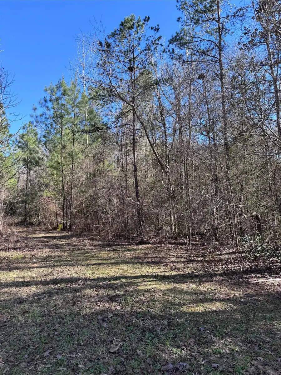 TBD Cr 2669,2670, Cleveland, TX 77327 - #3