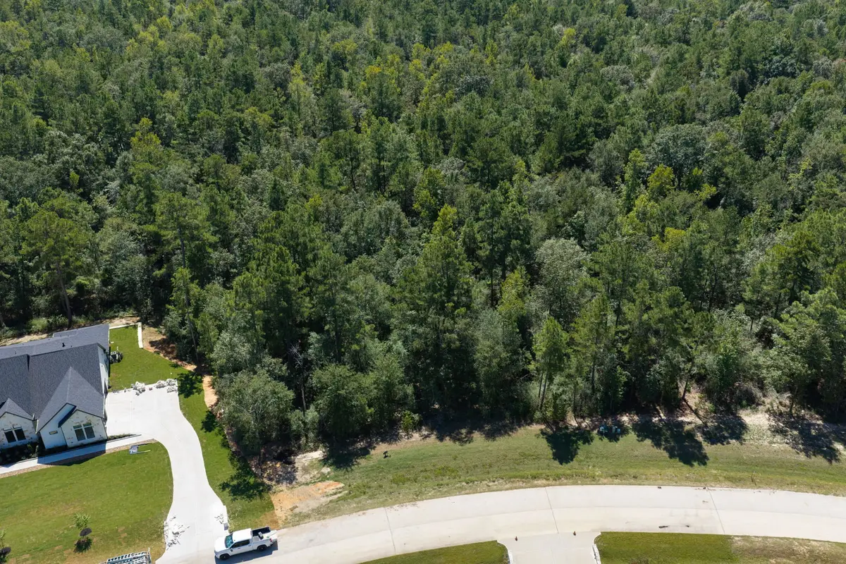 23721 Birch Grove Road, Montgomery, TX 77316 - #1