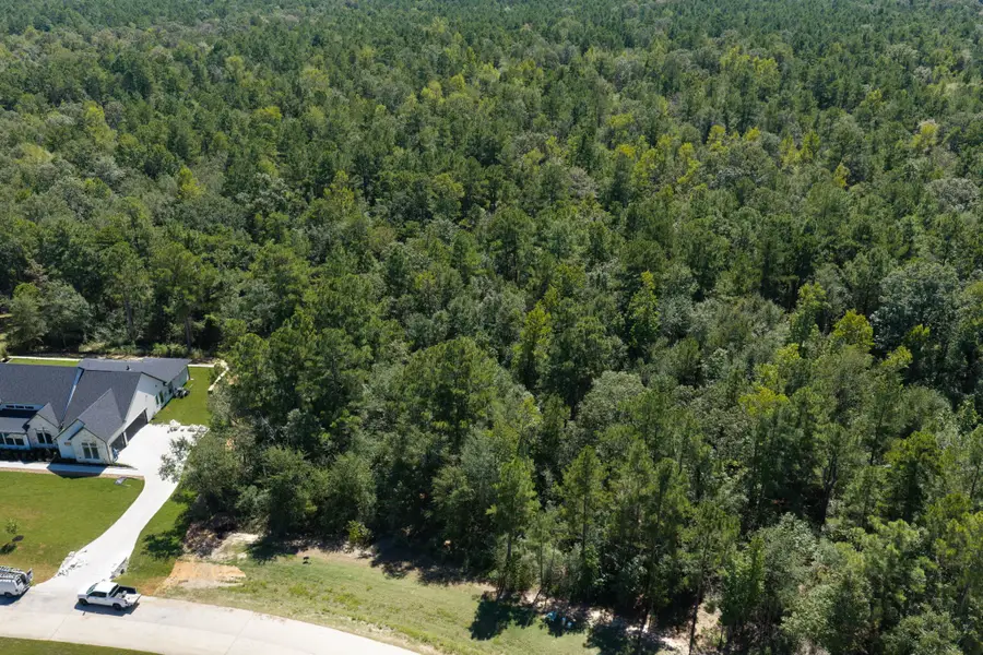 23721 Birch Grove Road, Montgomery, TX 77316 - #2