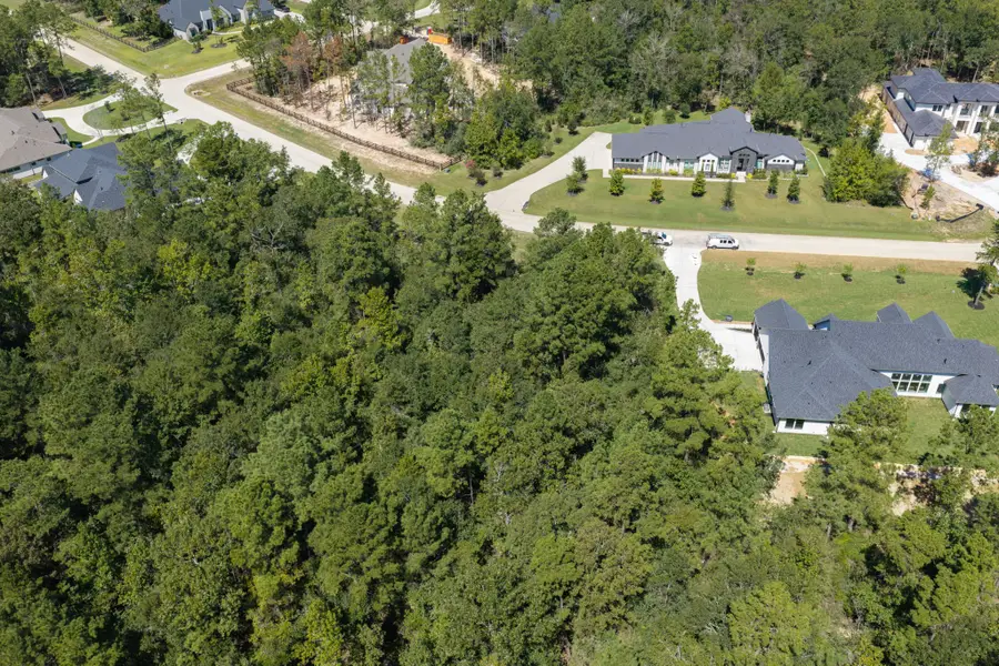 23721 Birch Grove Road, Montgomery, TX 77316 - #3