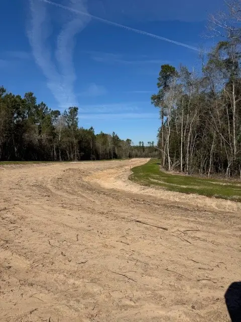 TBD Redhead Road, Livingston, TX 77351 - #3