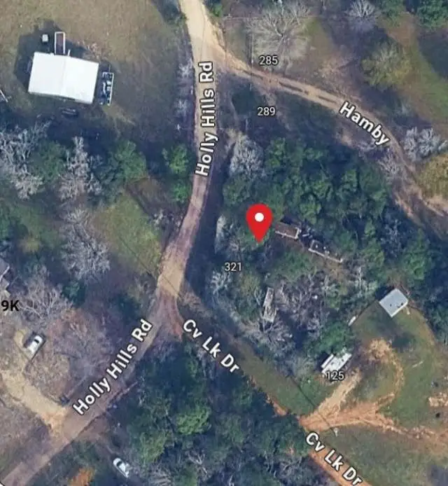 321 Holly Hill Road, Livingston, TX 77351 - #1