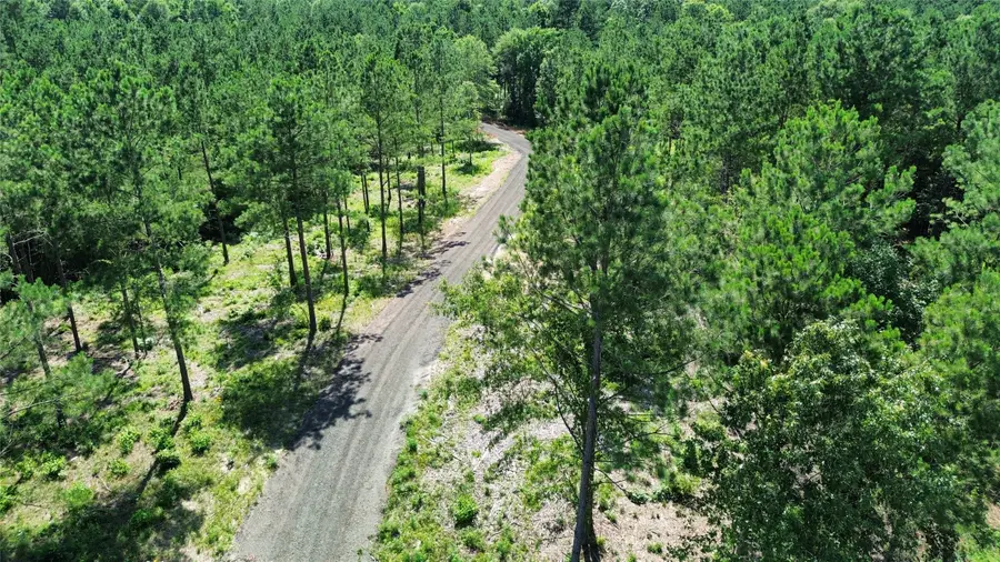 492 Piney Creek Estates Rd, Timpson, TX 75975 - #3