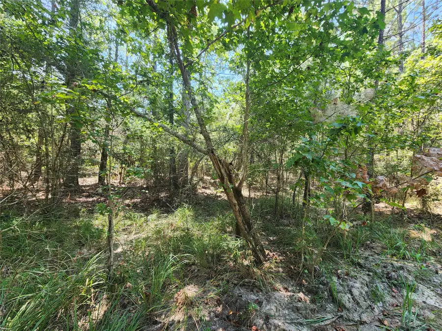 285 Sweet Gum Drive, Brookeland, TX 75931 - #2