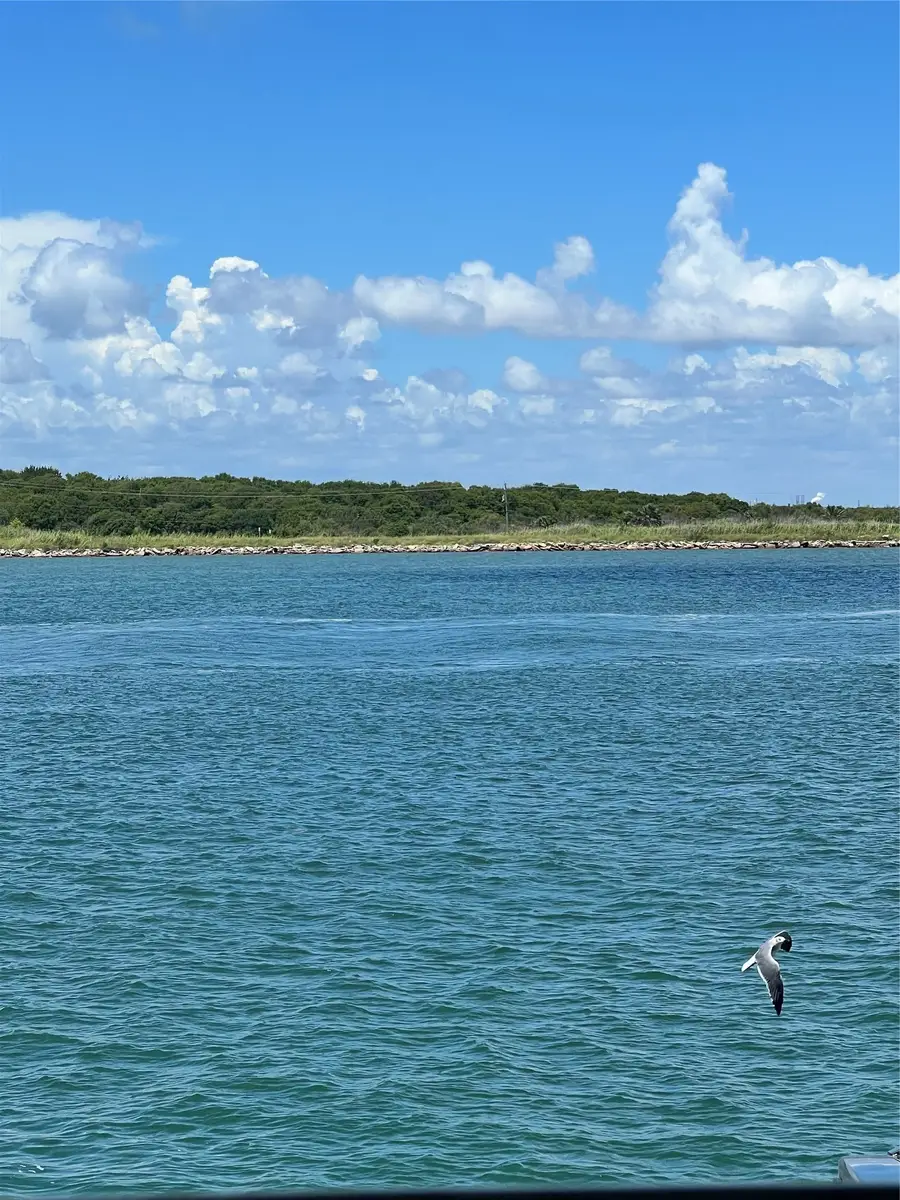 1290 N N Tinkle Lane, Crystal Beach, TX 77650 - #2