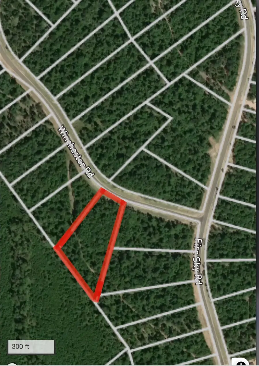 3b-1-76 Winchester Road, Huntsville, TX 77340 - #3