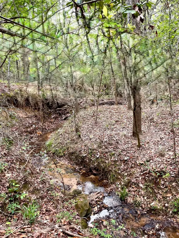 1482 Tony Peebles Road, Livingston, TX 77351