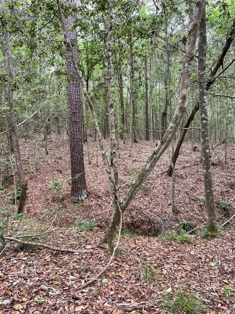 TBD Tony Peebles Road, Livingston, TX 77351 - #2
