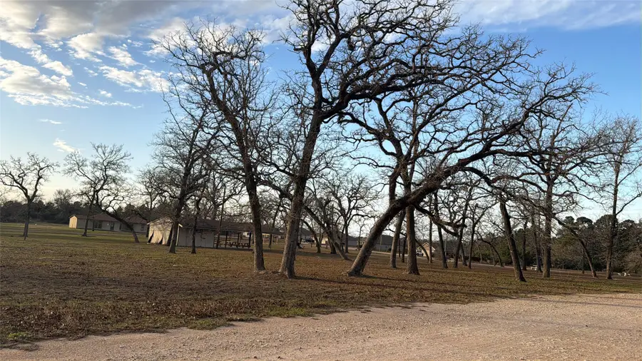 26667 Deerwood Drive, Hempstead, TX 77445 - #3