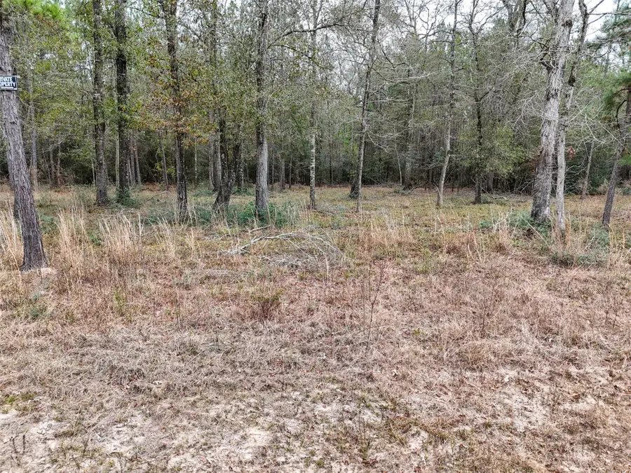 tbd Chisolm Court, Cleveland, TX 77328 - Image #2