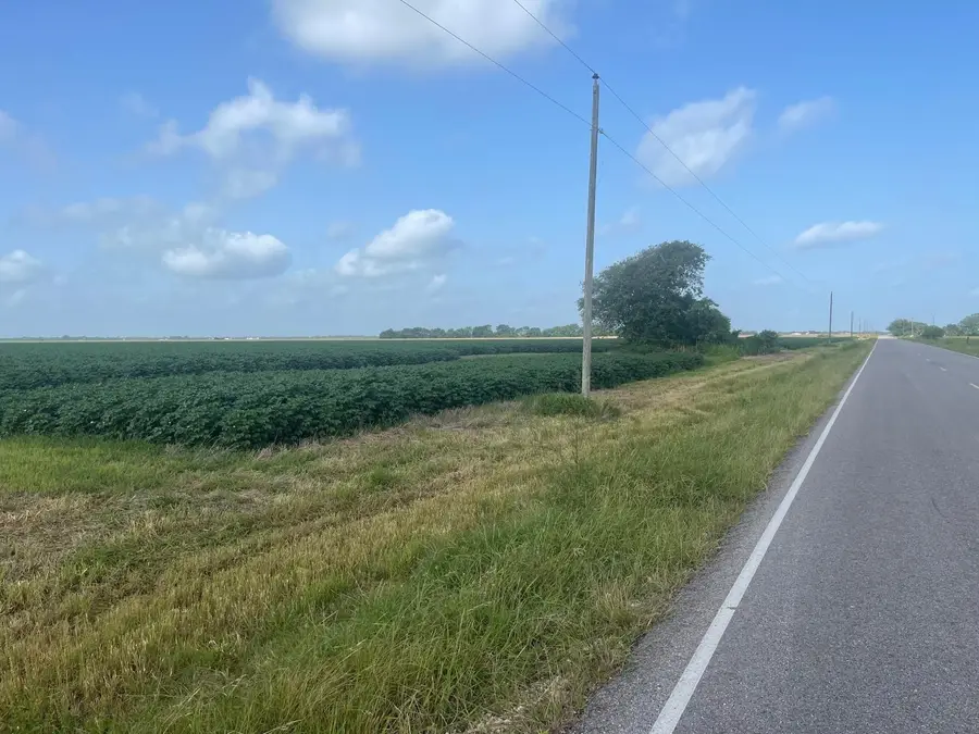 10815 Koym Road, Beasley, TX 77417 - Image #3