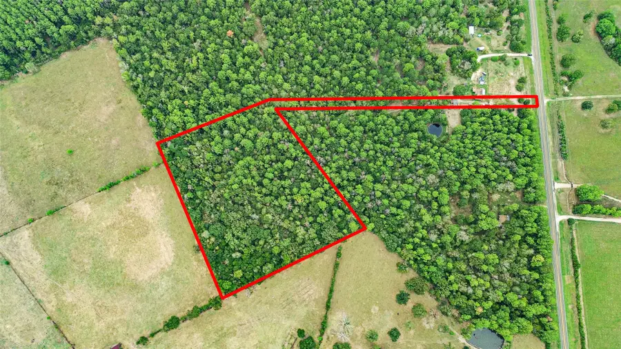 TBD S Sh 94, Trinity, TX 75862 - #2