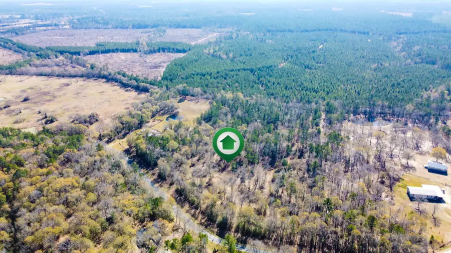 000 Oates Bros Road, Trinity, TX 75862 - #3