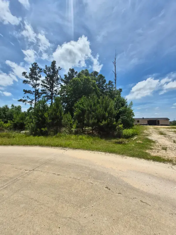 65 Road 5264, Cleveland, TX 77327