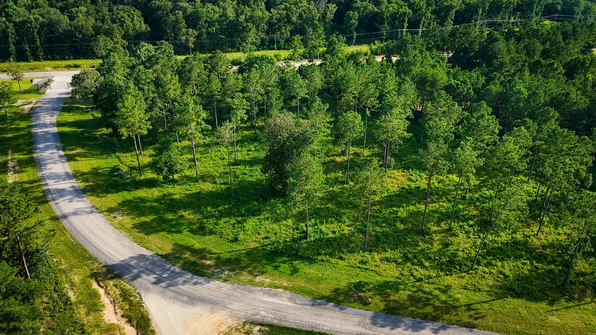 TBD LOT 5 Ridge Lake Road, Livingston, TX 77351 - #1