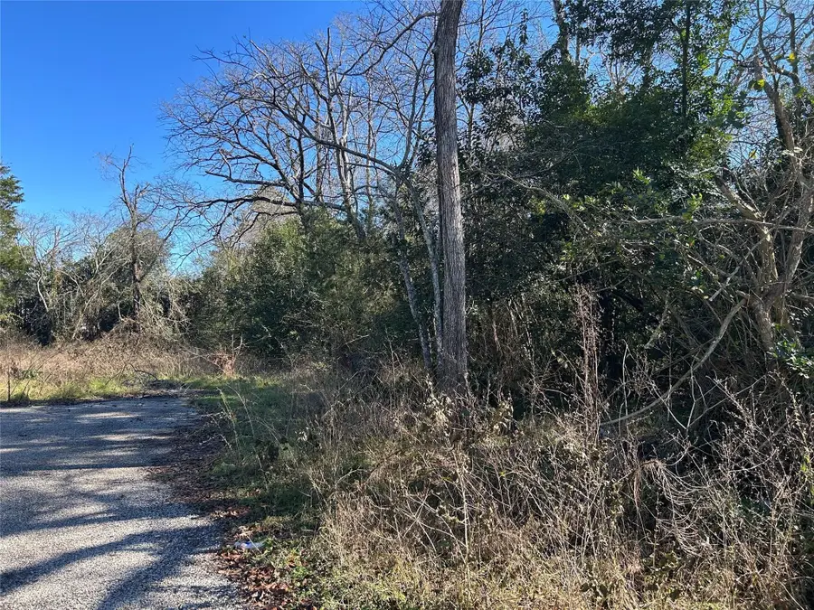 14948 Lot 14-15 Colt Lane, Willis, TX 77378 - #3