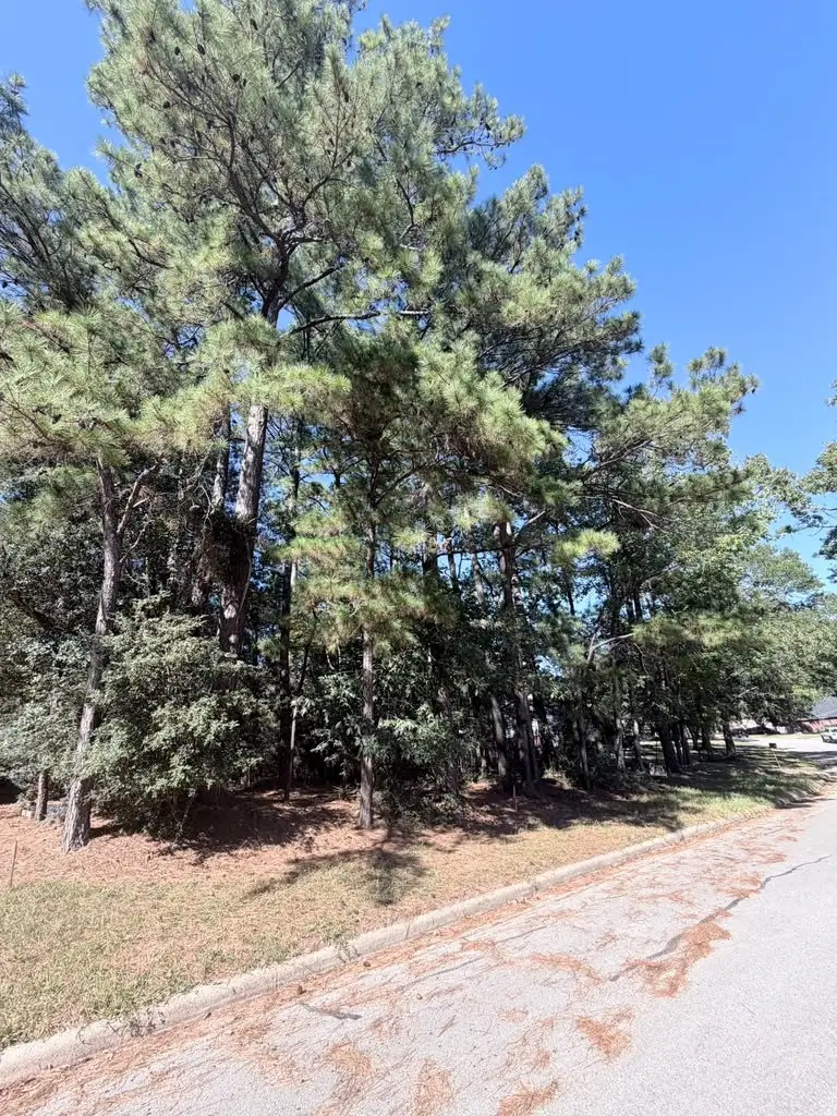 1936 Greentree Drive, Huntsville, TX 77340 - #3