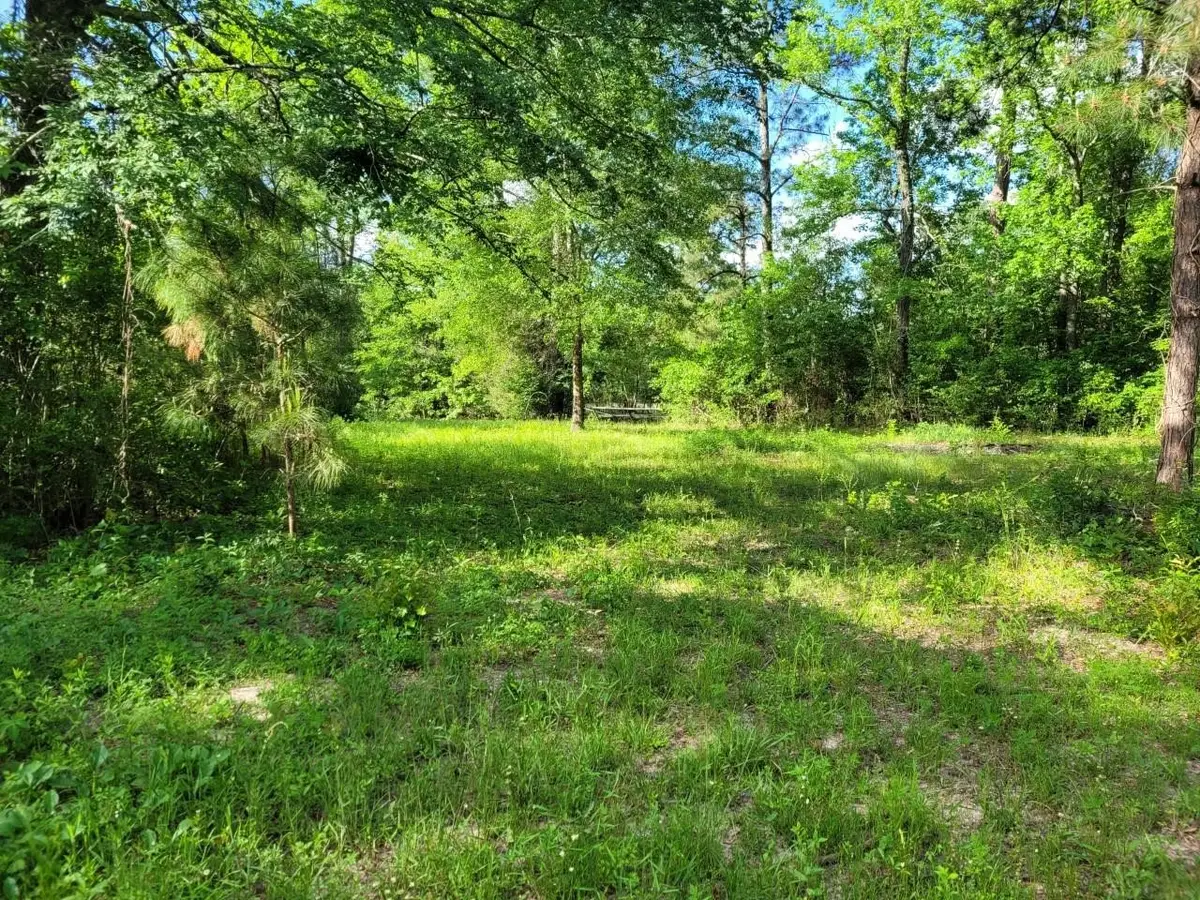 15778 Hayden Road, Conroe, TX 77306 - #1