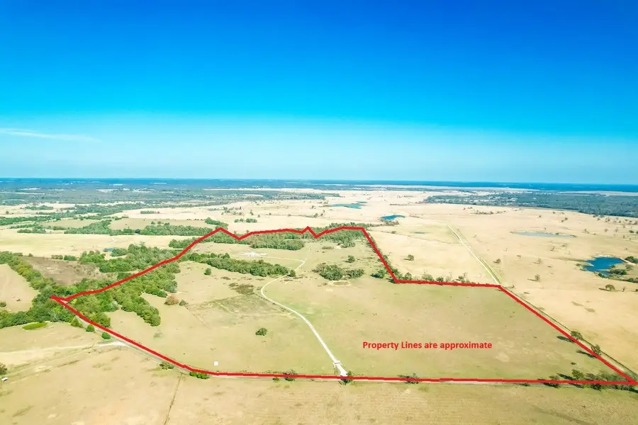 0000 Cr 781, Donie, TX 75838 - #2