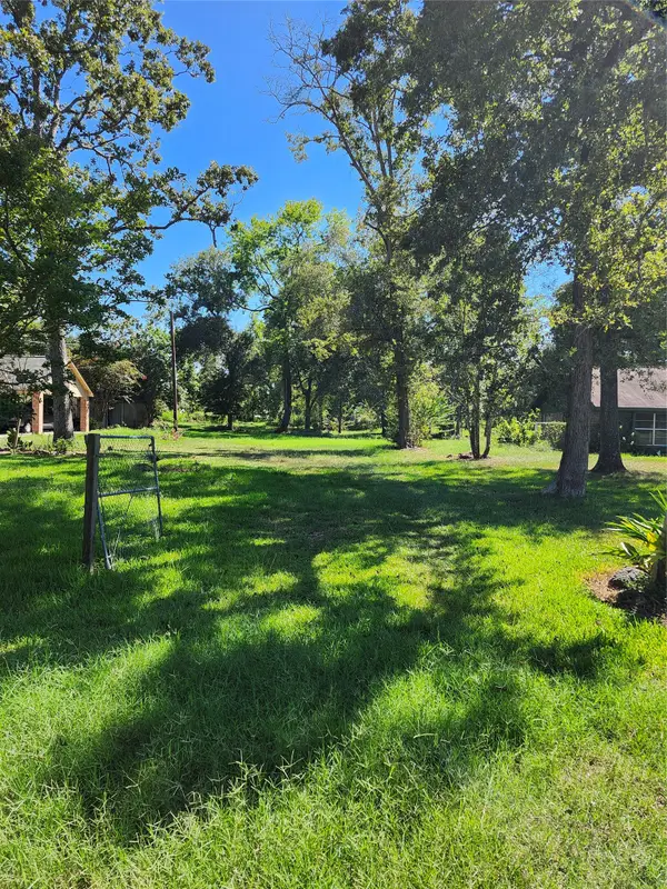 Lot 244 Holly Street, Porter, TX 77365