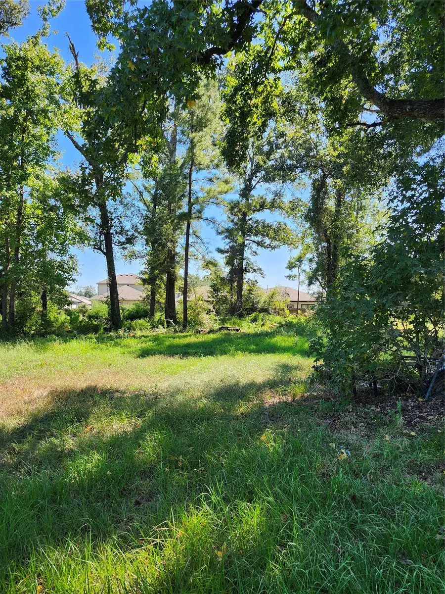 Lot 244 Holly Street, Porter, TX 77365 - #2