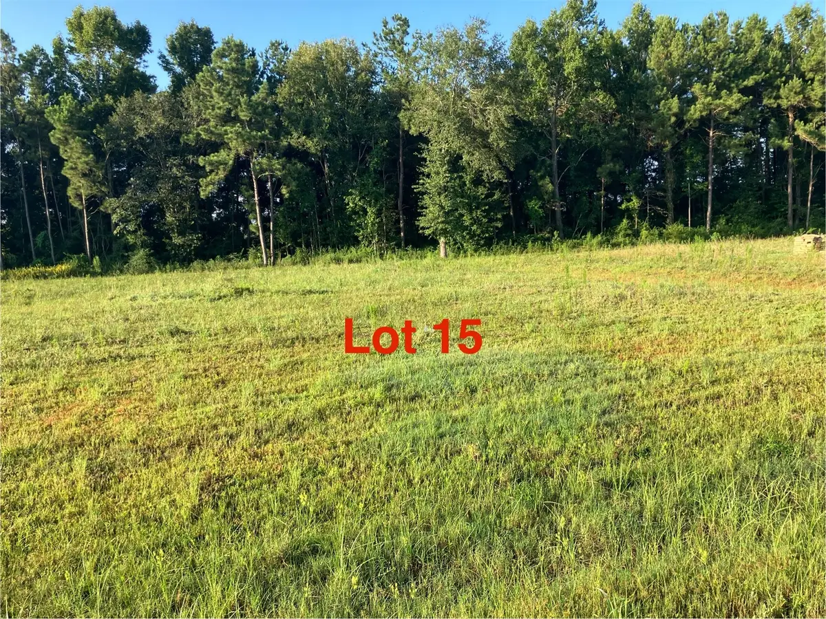 1041 Tarkington Timbers Drive, Cleveland, TX 77327 - #1