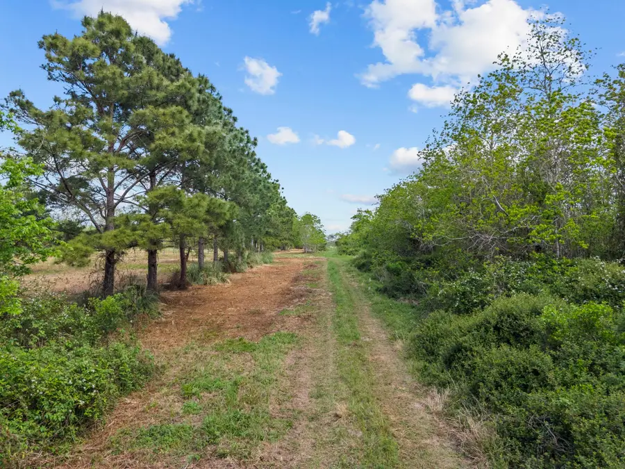 4700 Starboard Lane, Dickinson, TX 77539 - #2