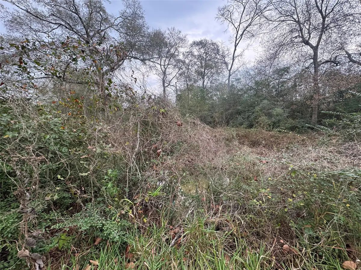 0 N Bonnie Lake Dr, Hempstead, TX 77445 - #1