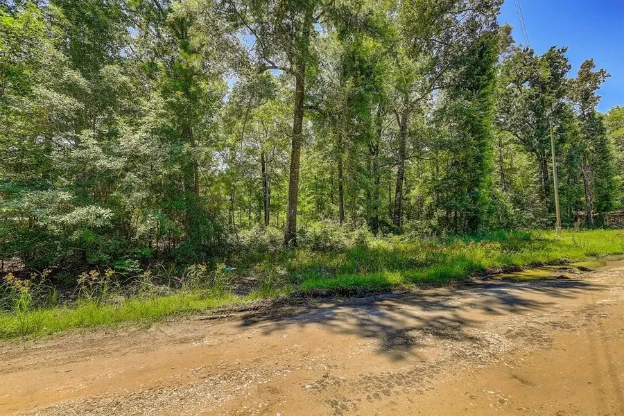 Lot 432 Parkpine Street, Livingston, TX 77351 - Image #2