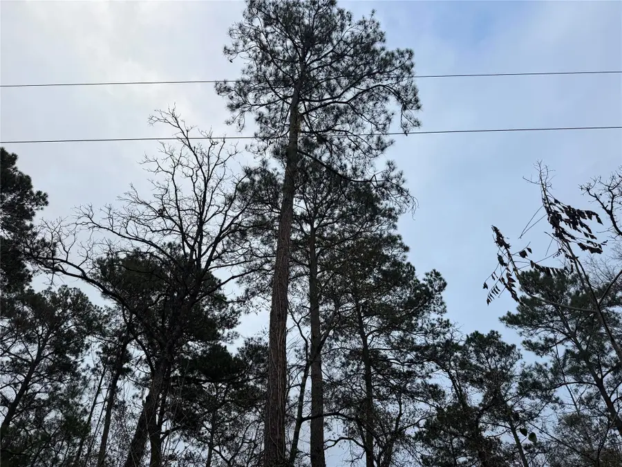 13475 White Oak Drive, Plantersville, TX 77363 - #2