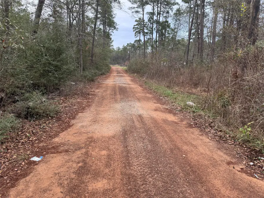 13475 White Oak Drive, Plantersville, TX 77363 - #3