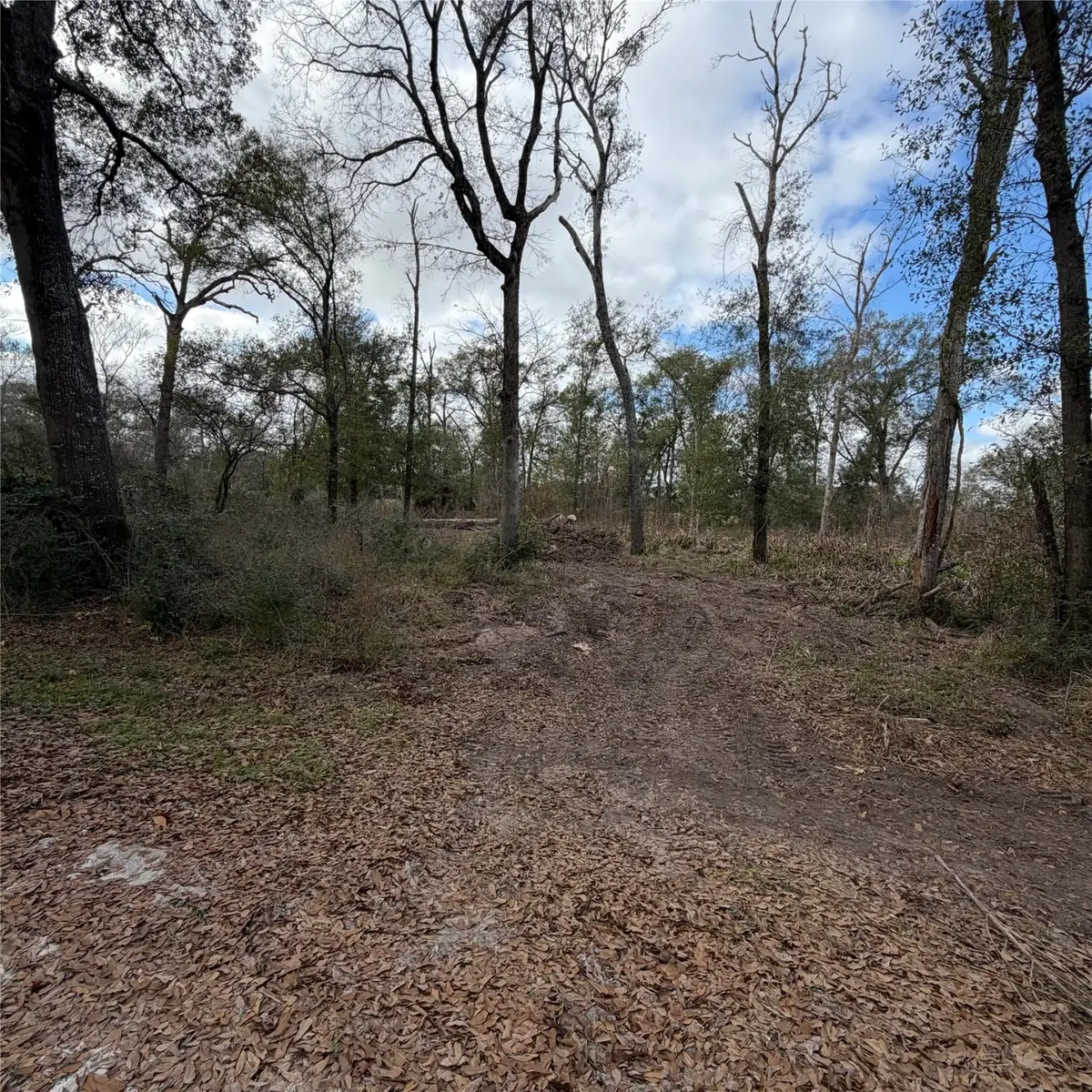 25028 Leitrim Street, Hempstead, TX 77445 - Image #1