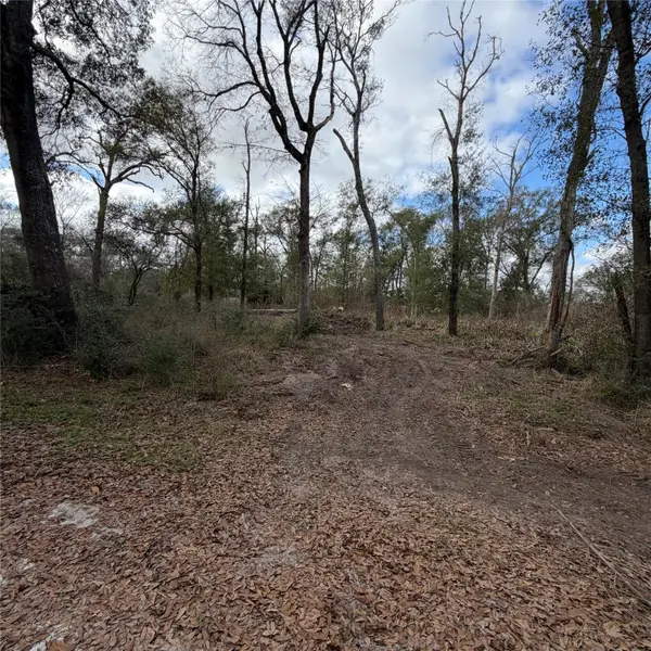 25028 Leitrim Street, Hempstead, TX 77445