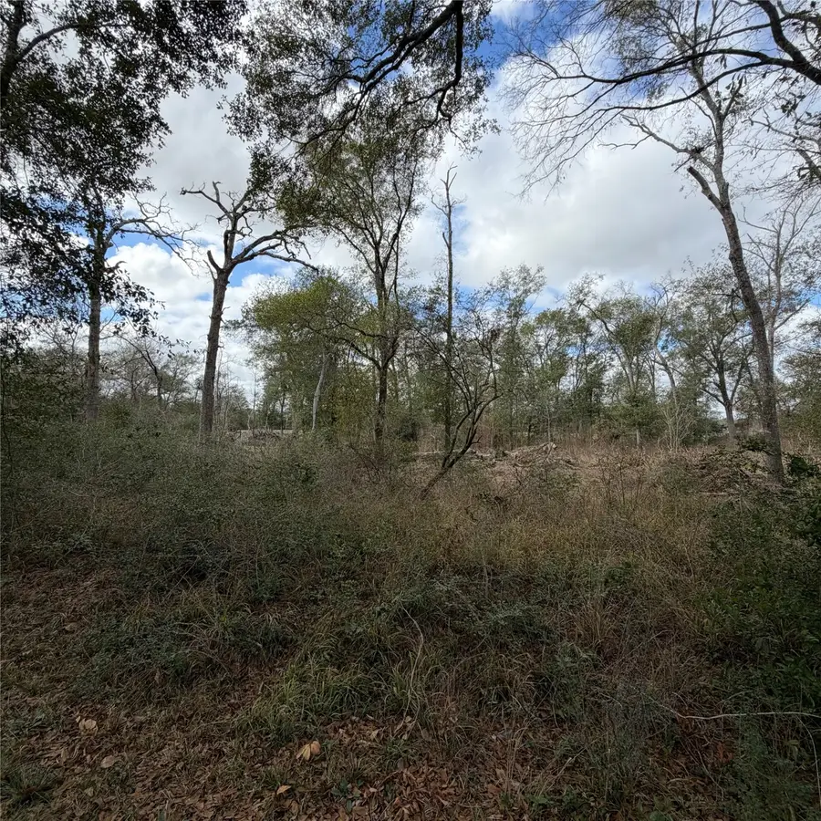 25028 Leitrim Street, Hempstead, TX 77445 - Image #2