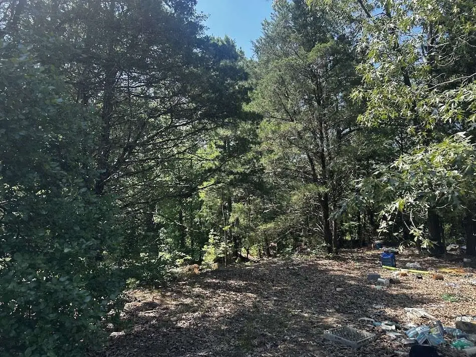 0 Victory School Road, Avinger, TX 75630 - Image #1