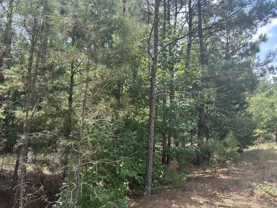 0 Victory School Road, Avinger, TX 75630 - Image #3