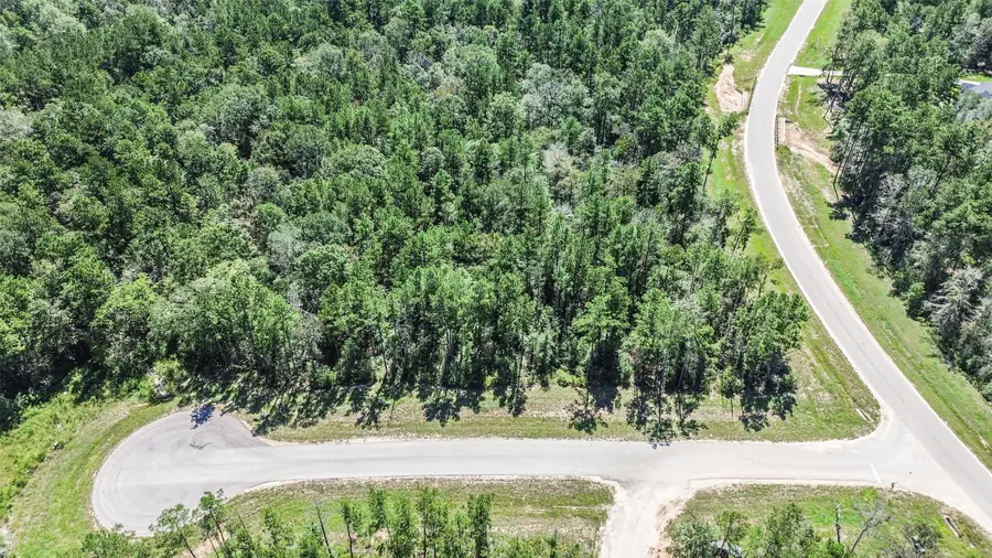 10711 Ruger Road, Willis, TX 77378 - Image #2