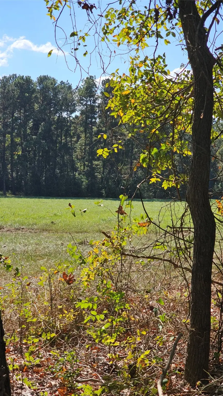 TBD Hawthorne Road N, New Waverly, TX 77358 - Image #2