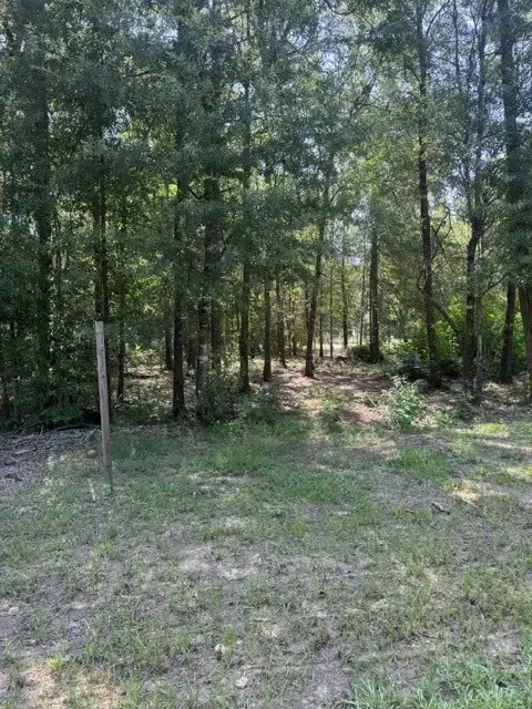 000 Somerset, Livingston, TX 77351 - #2