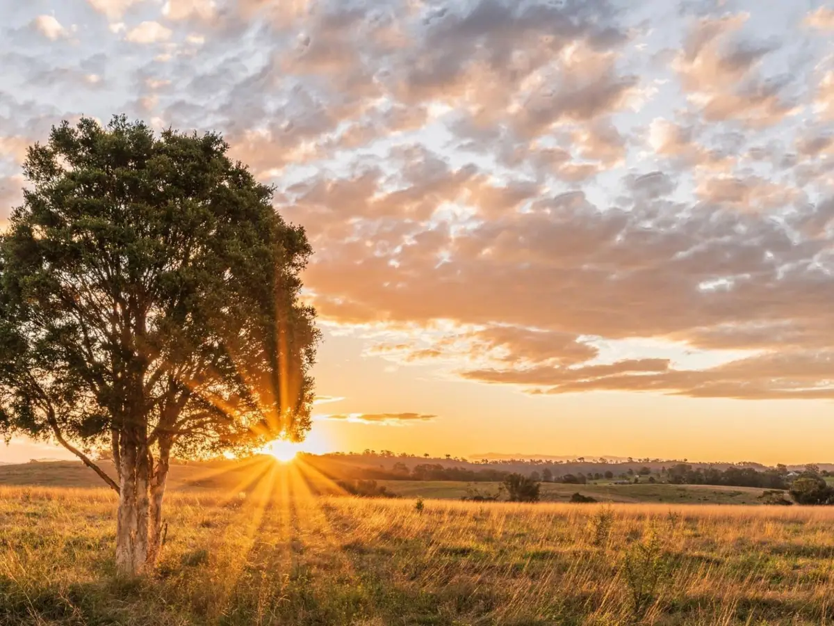 LOT 17 428 Rolling Hill Drive, Cat Spring, TX 78933 - Image #1